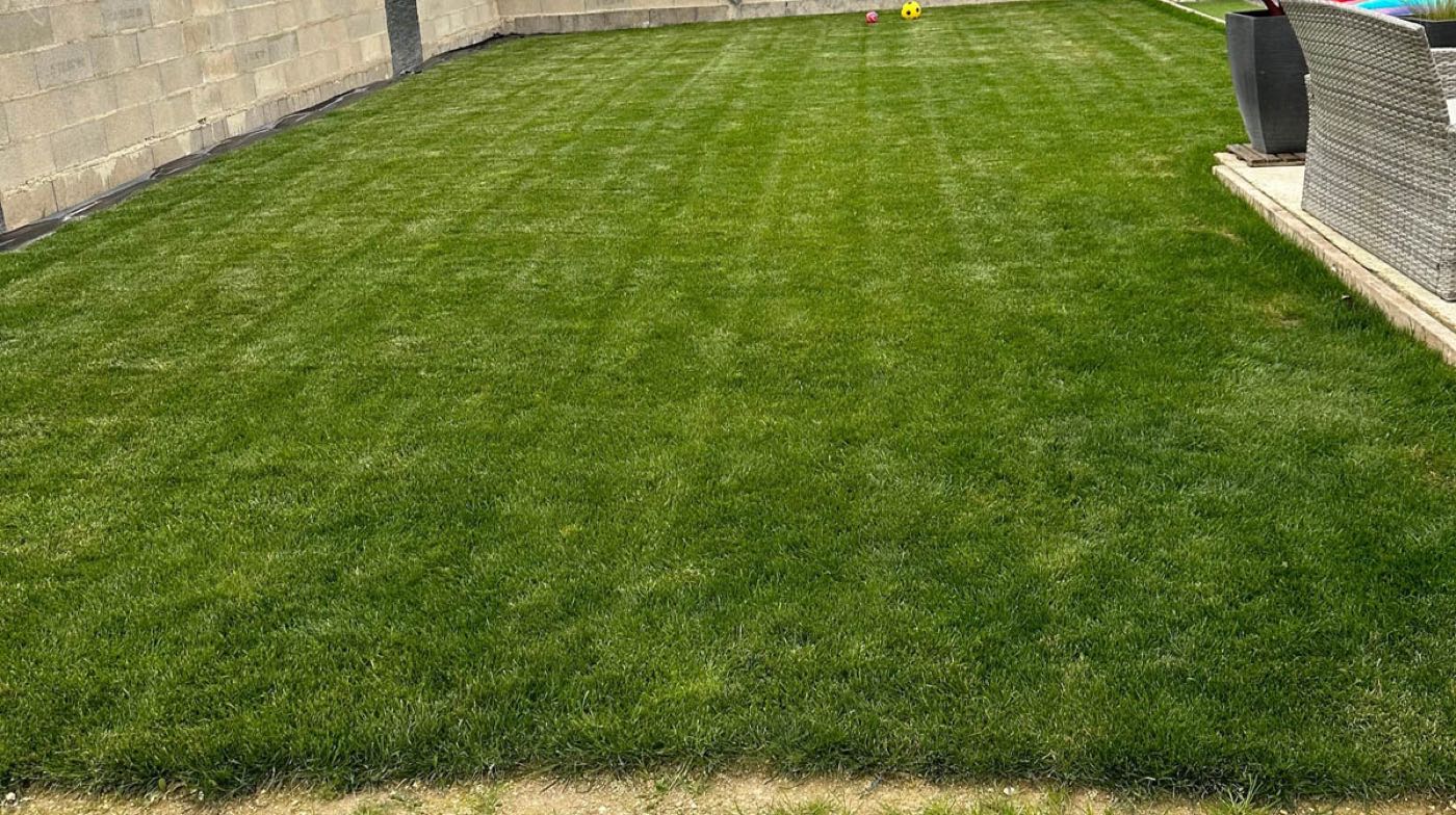 Semis de gazon dans un jardin clos — Avant / Après — Plantation