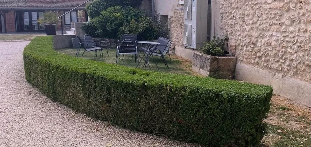 Taille de haies et de topiaires — Entretien