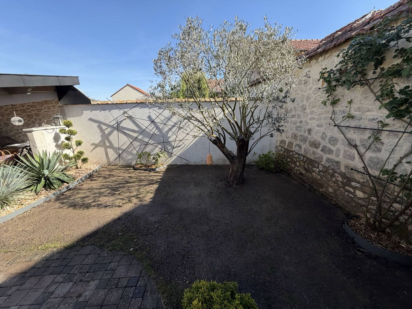 Aménagement et plantation d'une cour — Plantation