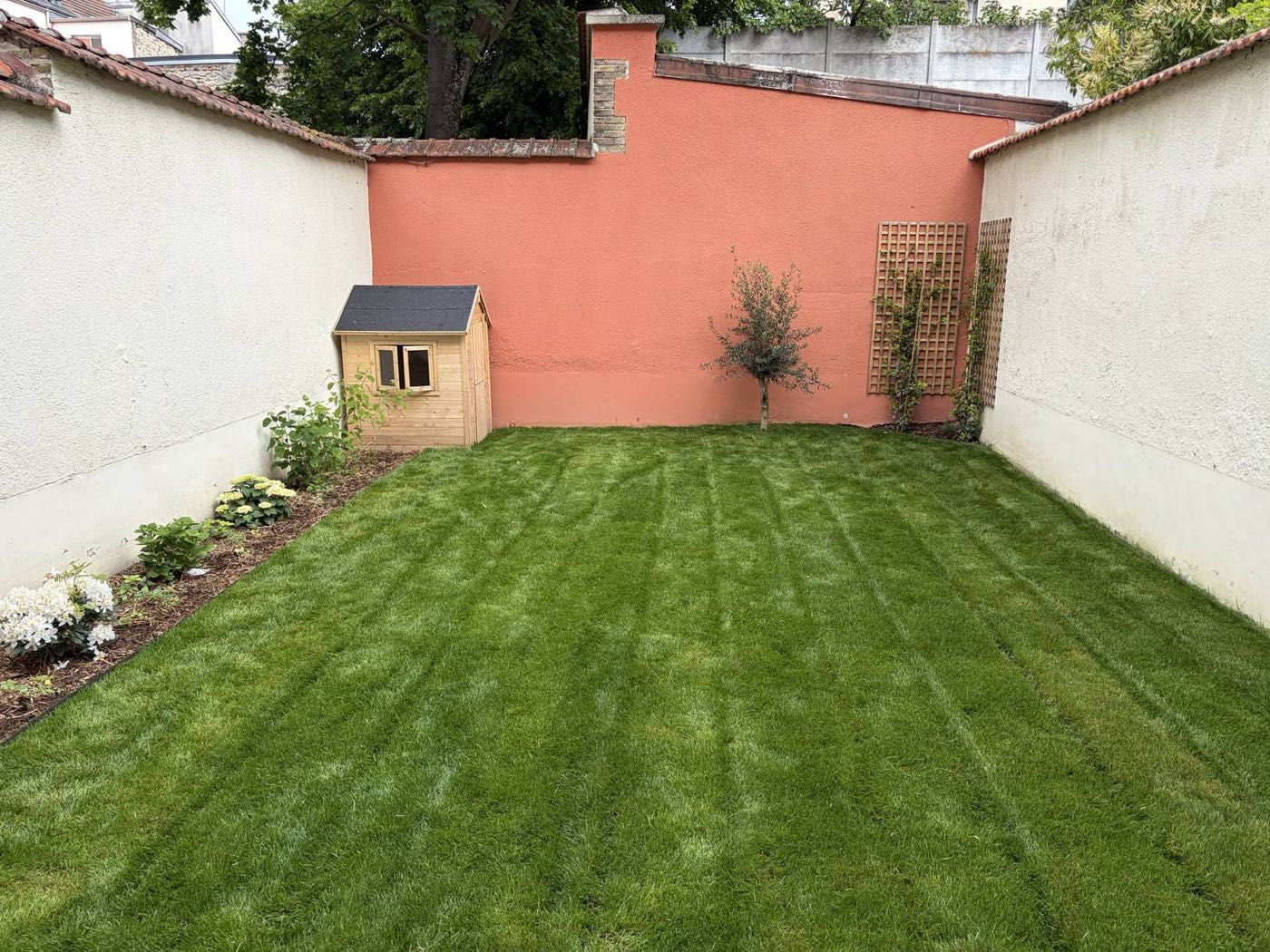 Création d'une pelouse en jardin de ville — Avant / Après — Plantation
