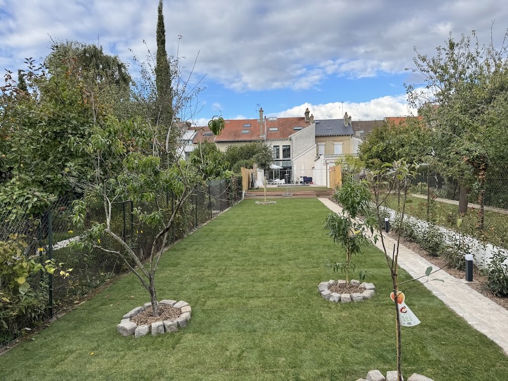 Création de gazon dans un grand jardin de ville — Avant / Après — Plantation