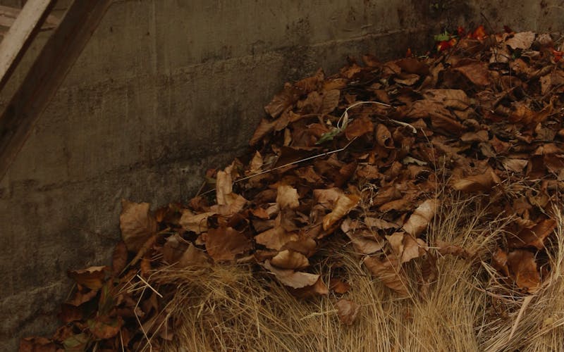 Compost et feuilles broyées issus du jardinage écologique